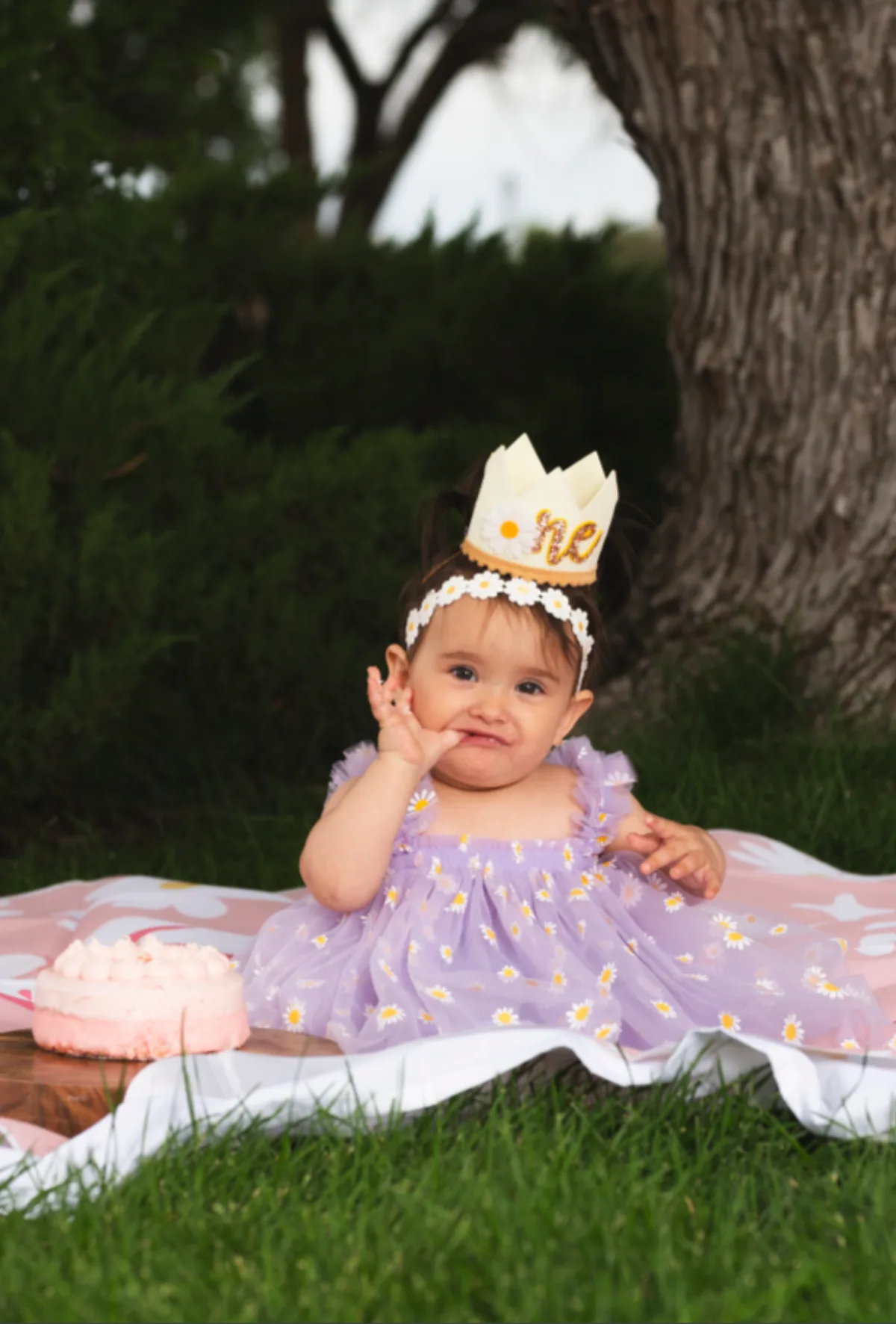 One year old girl in a lavender daisy dress and paper crown sitting on a blanket under a tree with her cake