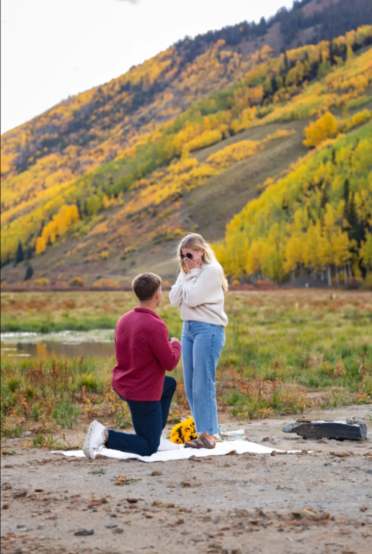 Surprise proposal on one knee with sunflowers below a hillside of golden aspens